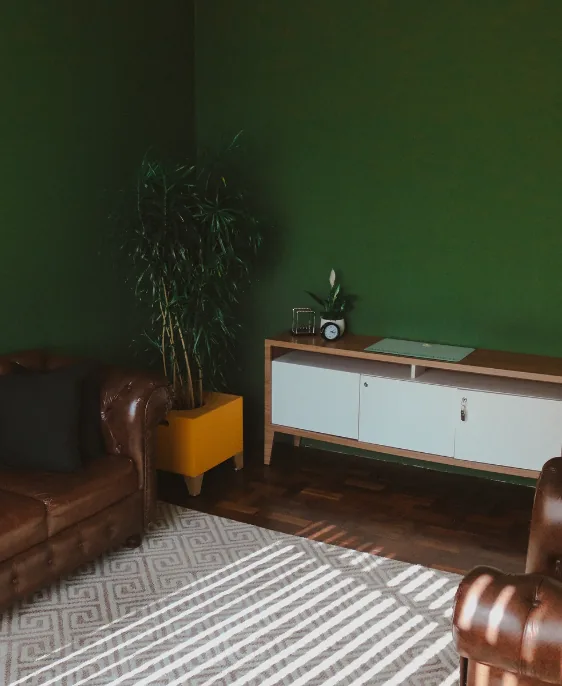 Sala de atendimento psicológico com poltronas de couro marrom, parede verde, móvel de madeira, planta ornamental e tapete claro, em ambiente tranquilo e aconchegante.